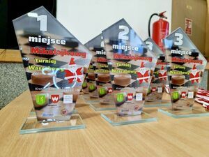 MIKOŁAJKOWY TURNIEJ WARCABOWY 2025