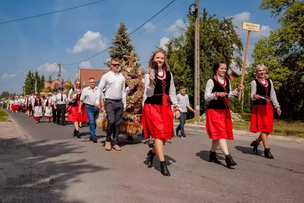 Dożynki Gminne - Niedźwiada 2023!