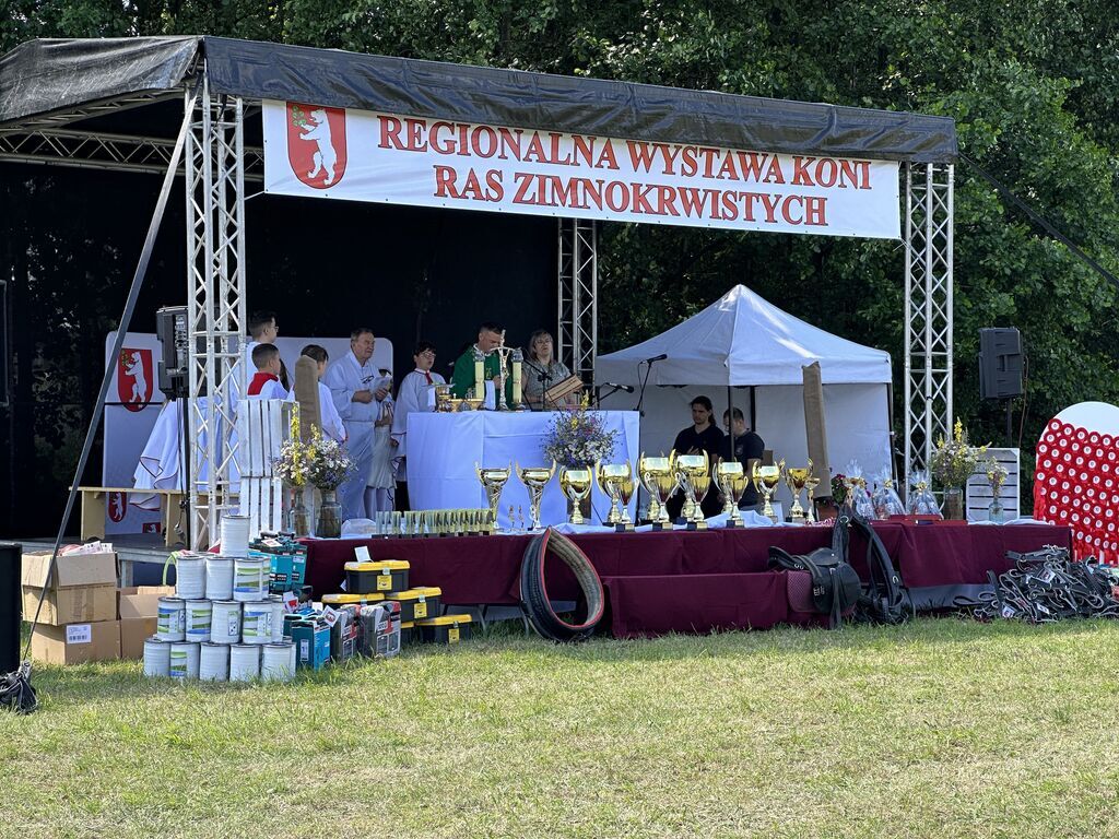 Regionalna Wystawa Koni Ras Zimnokrwistych - Tarło 23.06.2024 r.