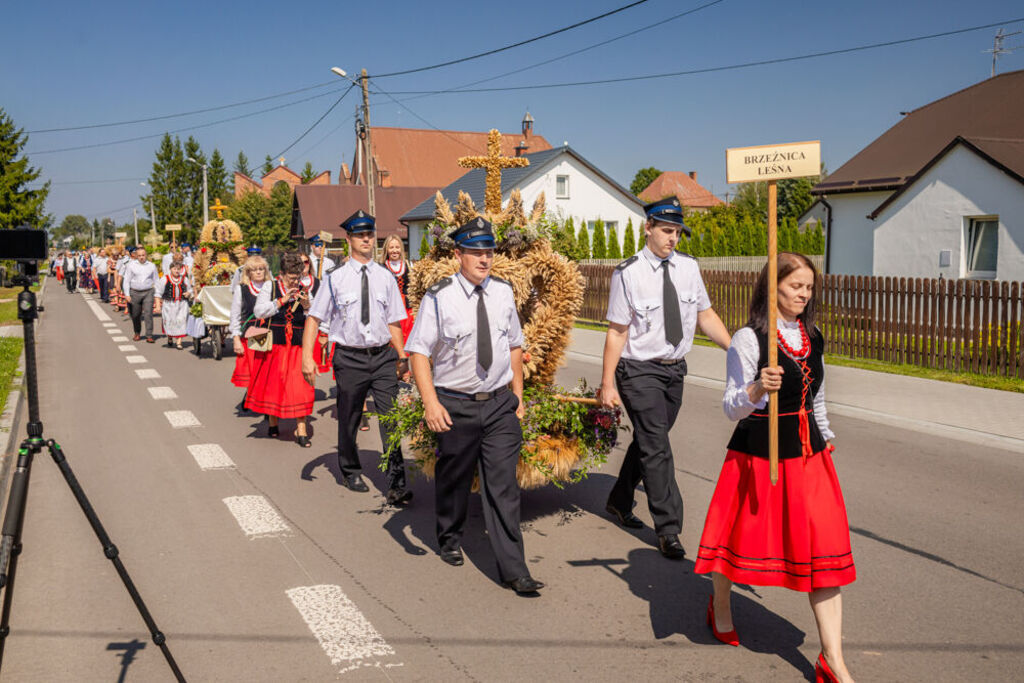 Dożynki Gminne - Niedźwiada 2024!