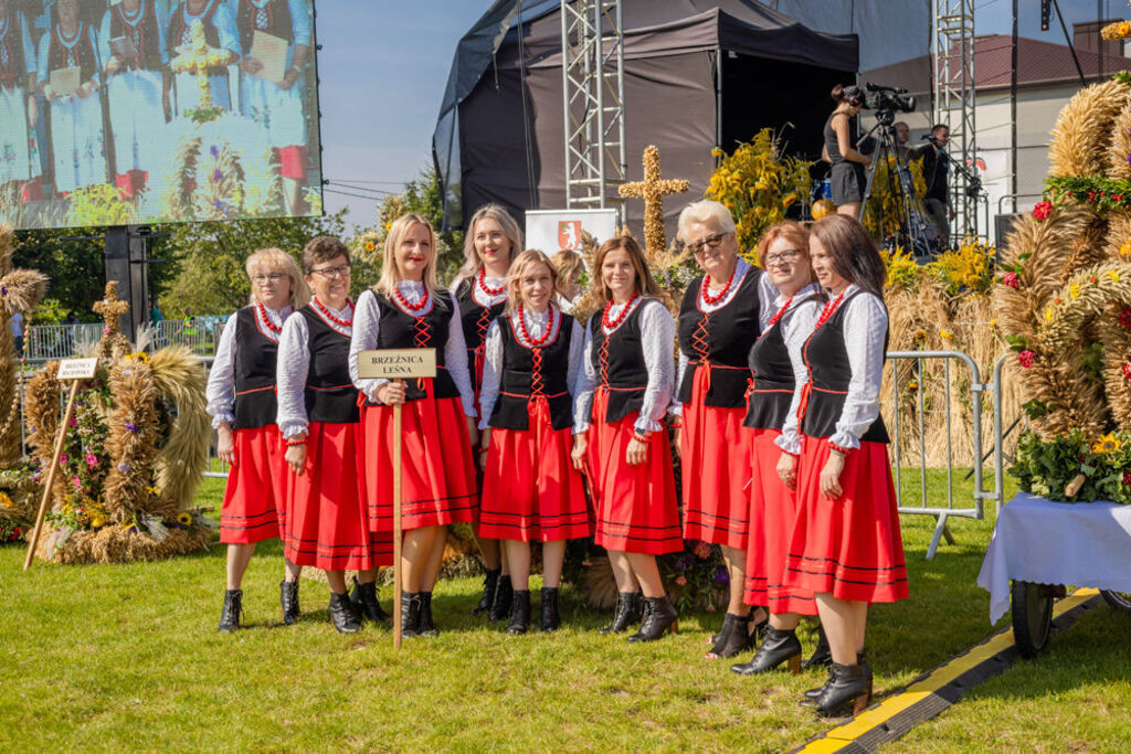 Dożynki Gminne - Niedźwiada 2024!