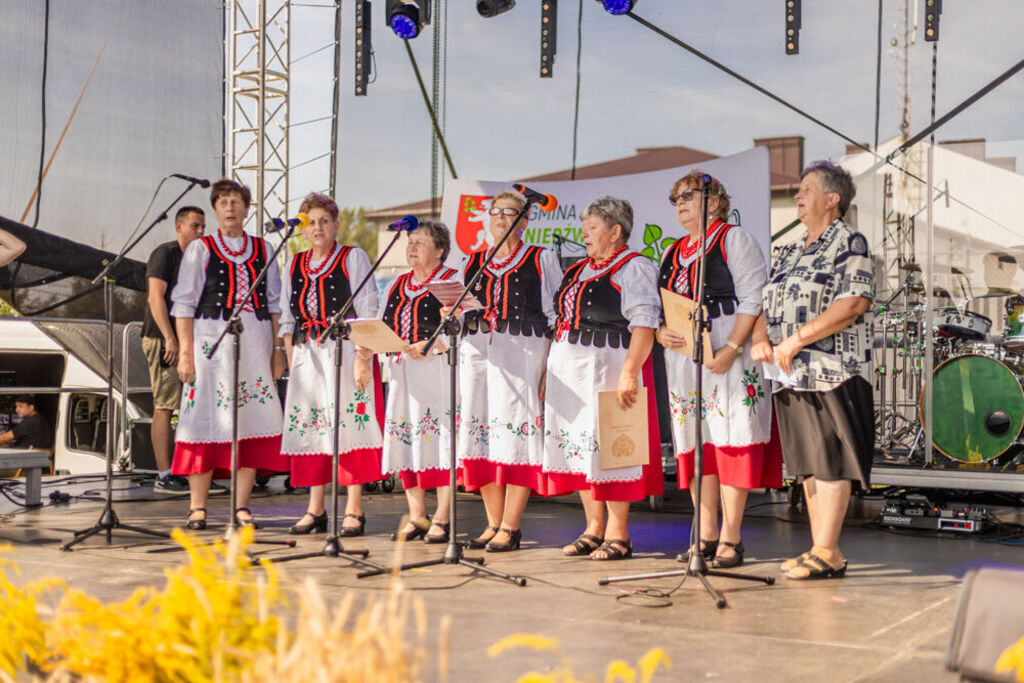 Dożynki Gminne - Niedźwiada 2024!