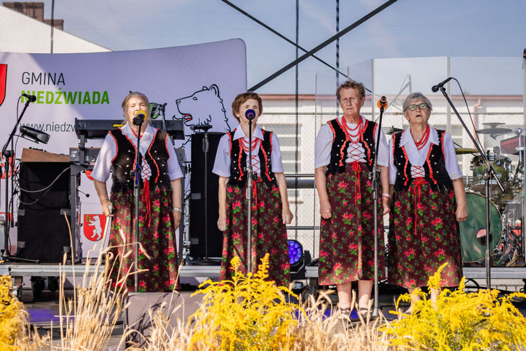 Dożynki Gminne - Niedźwiada 2024!