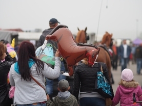 Tłumy na targach końskich w Pajęcznie