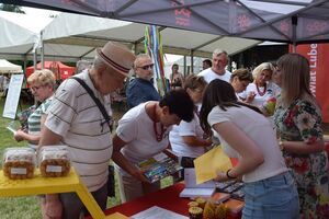 FESTIWAL KÓŁ GOSPODYŃ WIEJSKICH I TWÓRCÓW LUDOWYCH  TRADYCYJNIE w Nałęczowie