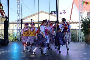 X Edycja Festiwalu Promocyjno–Edukacyjnego „Kwaszeniaki i Kiszeniaki” w Krzczonowie