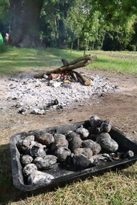 Dzień Ziemniaka w Domu Dziecka w Woli Gałęzowskiej