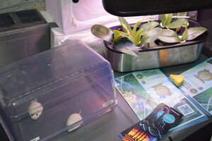 Projekt Discovery Space Station w Zespole Szkół Ponadpodstawowych w Niemcach