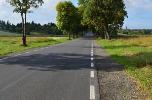 
                                                    „ Przebudowa drogi powiatowej Nr 1349 L od km 0+616,5 do km 1+615,6  – ul. Młynarskiej w Rykach”
                                                