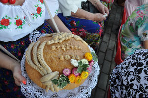 
                                                    Dożynki Gminy Stężyca
                                                