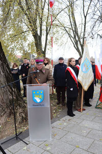 
                                                    „Niepodległa Lubelszczyzna – korzenie i przyszłość Powiatu Ryckiego”.
                                                