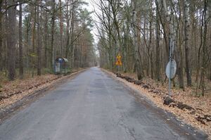 
                                                    Trwają prace budowlane przy zadaniu pn.: „Przebudowa drogi powiatowej Nr 1420L od km 0+000 do km 6+299,73 w miejscowościach Kłoczew, Jagodne, Gózd”
                                                