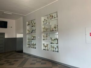 
                                                    Nowy wygląd holu i szatni w ZSZ Nr 1 w Dęblinie
                                                