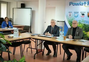 
                                                    POWIATOWA RADA RYNKU PRACY W RYKACH
                                                