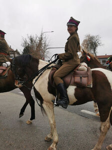 
                                                    Powiatowe Obchody Narodowego Święta Niepodległości w Rykach – 11 listopada 2025 r.
                                                