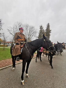 
                                                    Powiatowe Obchody Narodowego Święta Niepodległości w Rykach – 11 listopada 2025 r.
                                                