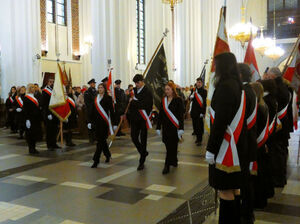 
                                                    Powiatowe Obchody Narodowego Święta Niepodległości w Rykach – 11 listopada 2025 r.
                                                