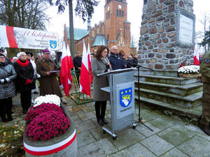 
                                                    Powiatowe Obchody Narodowego Święta Niepodległości w Rykach – 11 listopada 2025 r.
                                                