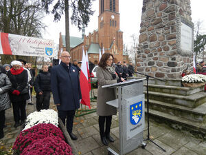 
                                                    Powiatowe Obchody Narodowego Święta Niepodległości w Rykach – 11 listopada 2025 r.
                                                