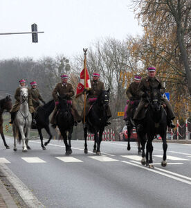 
                                                    Powiatowe Obchody Narodowego Święta Niepodległości w Rykach – 11 listopada 2025 r.
                                                