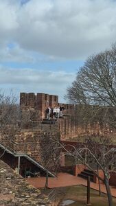 
                                                    Uczniowie ZSZ1 w Dęblinie kończą praktyki w Portugalii
                                                