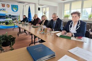 
                                                       POWIATOWA RADA RYNKU PRACY W RYKACH
                                                