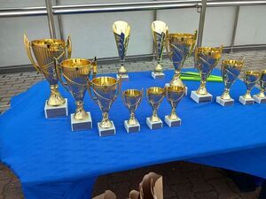 
                                                       Powiatowe Elimanacje  Ogólnopolskiego Turnieju Bezpieczeństwa w Ruchu Drogowym – Ryki 2026
                                                