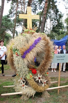 Dożynki Powiatowe - Żyrzyn 2014