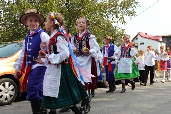 Dożynki Powiatowe - Żyrzyn 2014