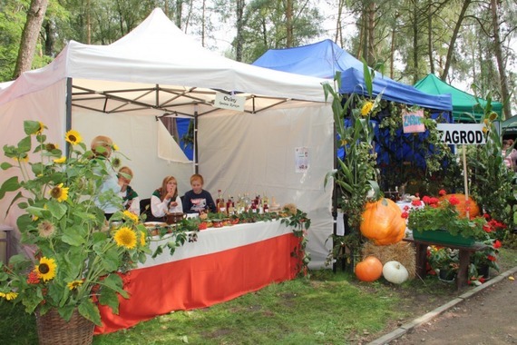 Dożynki Powiatowe - Żyrzyn 2014