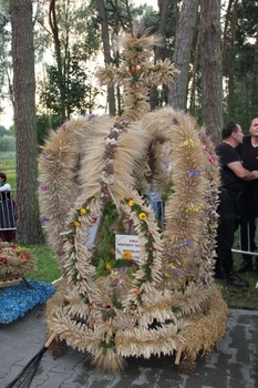 Dożynki Powiatowe - Żyrzyn 2014