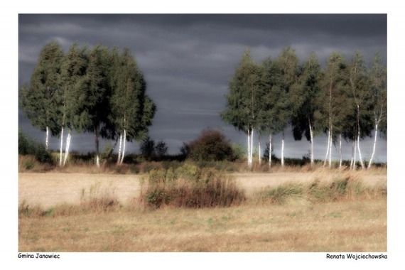 Plener fotograficzny fotografii ojczystej pt. Czas dojrzewającego chleba