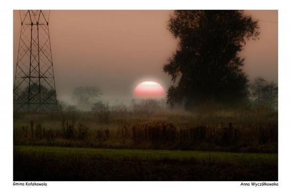 Plener fotograficzny fotografii ojczystej pt. Czas dojrzewającego chleba