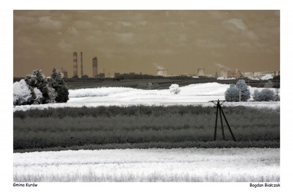 Plener fotograficzny fotografii ojczystej pt. Czas dojrzewającego chleba