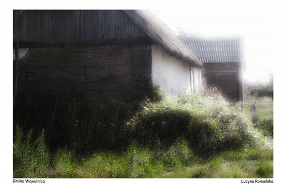 Plener fotograficzny fotografii ojczystej pt. Czas dojrzewającego chleba