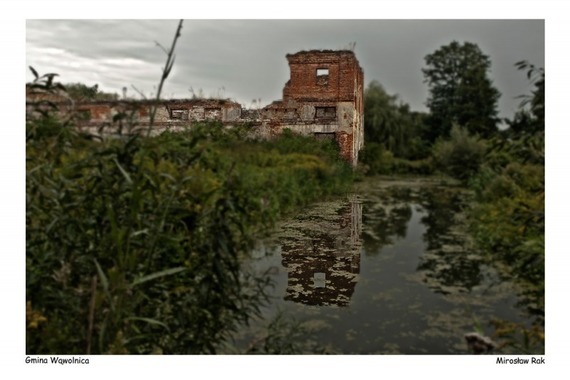 Plener fotograficzny fotografii ojczystej pt. Czas dojrzewającego chleba