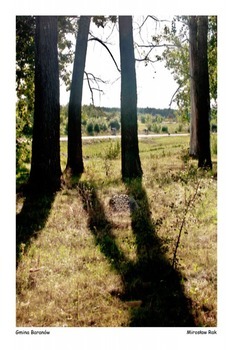 Plener fotograficzny fotografii ojczystej pt. Czas dojrzewającego chleba