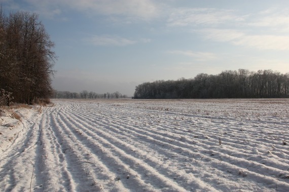 Zima w Powiecie Puławskim - Puławy