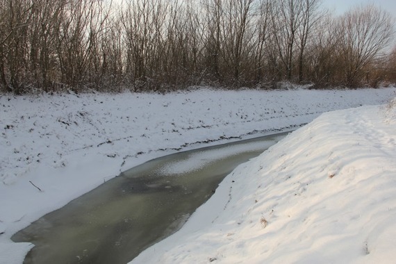 Zima w Powiecie Puławskim - Puławy