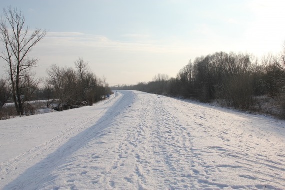 Zima w Powiecie Puławskim - Puławy