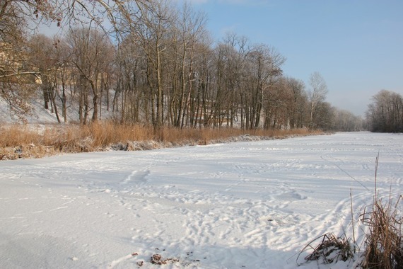 Zima w Powiecie Puławskim - Puławy