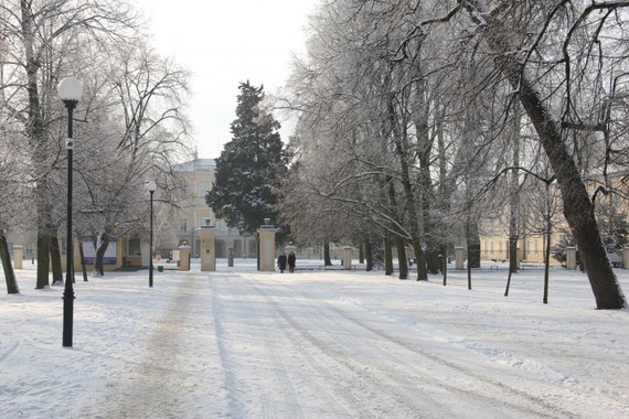 Zima w Powiecie Puławskim - Puławy