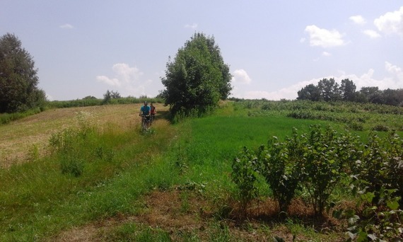 Trasa turystyczna Puławy - Zbędowice - Parchatka - Bochotnica