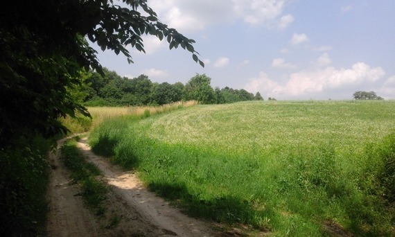 Trasa turystyczna Puławy - Zbędowice - Parchatka - Bochotnica