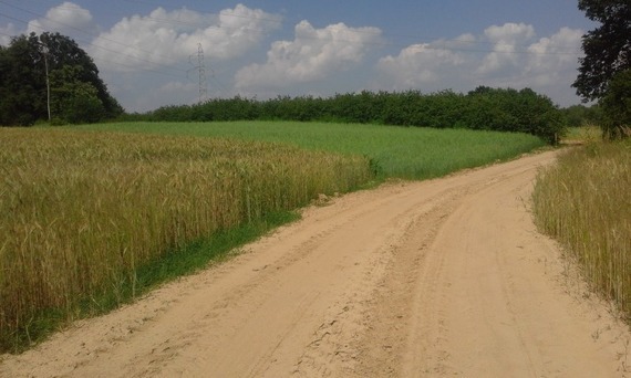 Trasa turystyczna Puławy - Zbędowice - Parchatka - Bochotnica