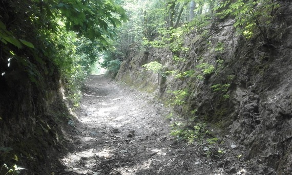 Trasa turystyczna Puławy - Zbędowice - Parchatka - Bochotnica