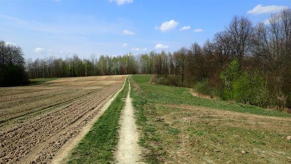 Wiosenne szlaki po Powiecie Puławskim