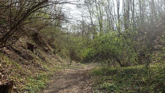 Wiosenne szlaki po Powiecie Puławskim