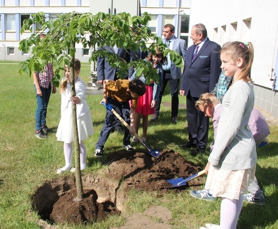 Podsumowanie XV edycji Akcji „Drzewko za butelkę” ® 2017