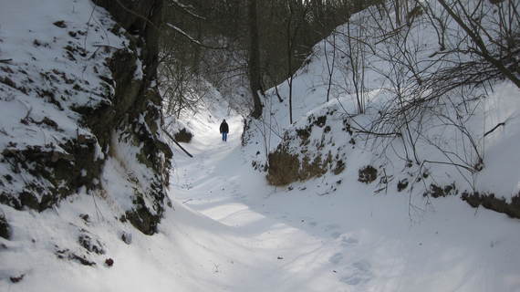 Zimowe szlaki Powiatu Puławskiego